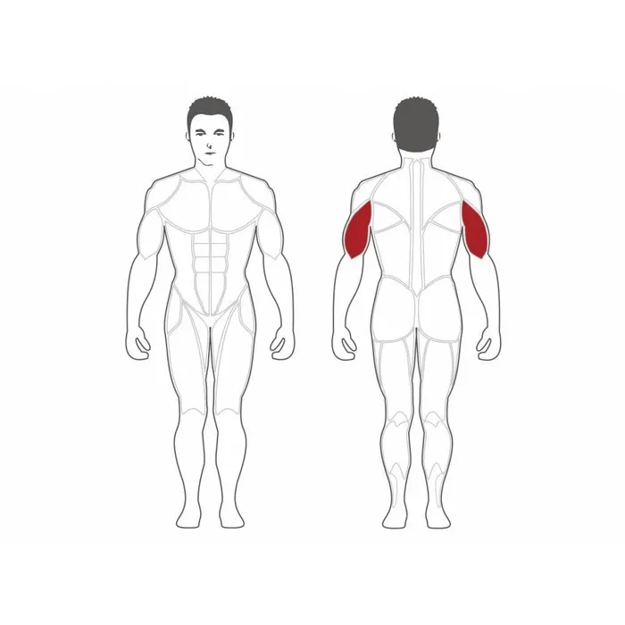 Steelflex Plate Loaded Triceps Extension Machine