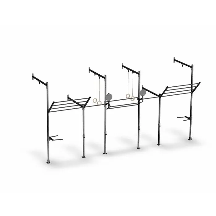 PT Essentials Wall Mount Crossfit Rig V17