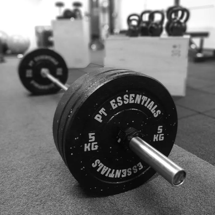 PT Essentials HI TEMP Crumb Rubber Bumperplates