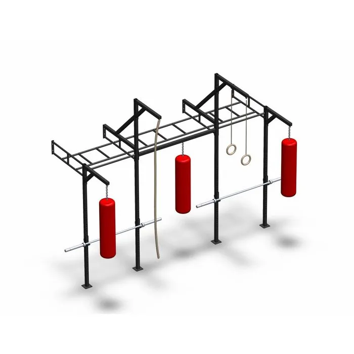 PTessentials Wall Mount Crossfit Rig V18