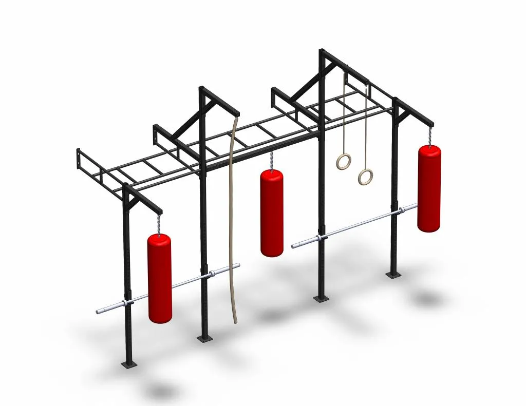 PT Essentials Wall Mount Crossfit Rig V18