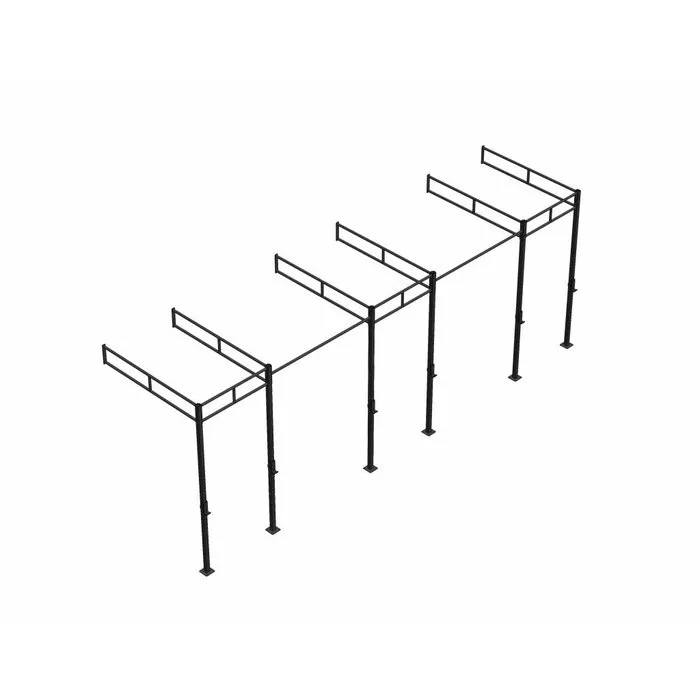 PT Essentials Wall Mount Crossfit Rig V19