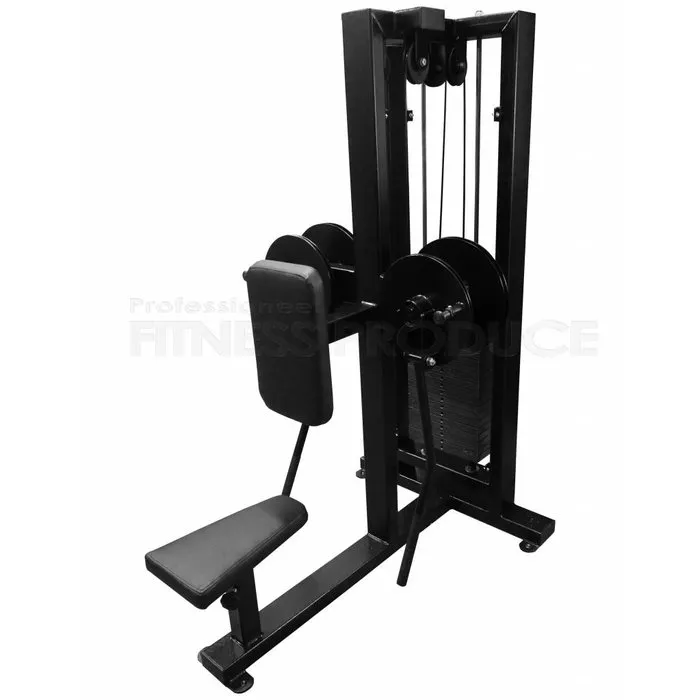 FP Equipment Lateral Shoulder Raise Machine