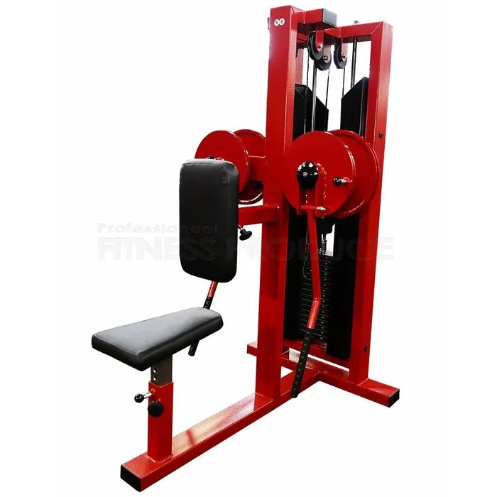 FP Equipment Lateral Shoulder Raise Machine