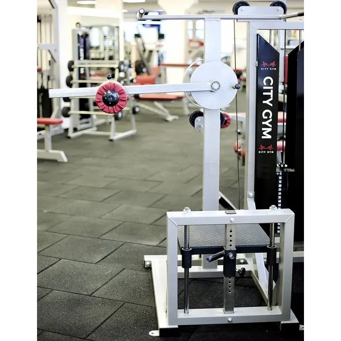 FP Equipment Multi Hip Machine