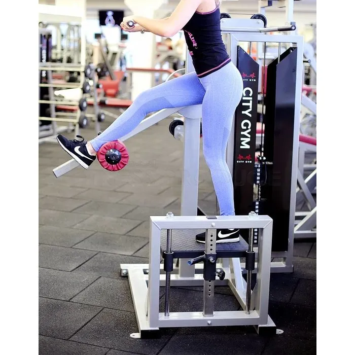 FP Equipment Multi Hip Machine