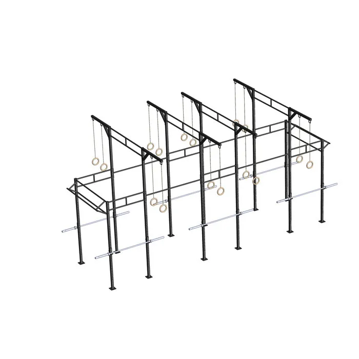 PTessentials Heavy Duty Crossfit Rig V19