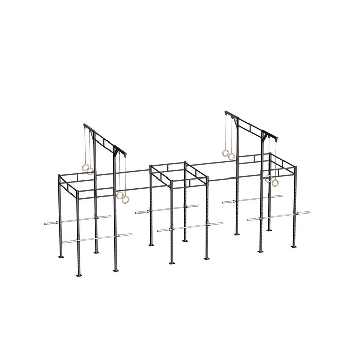 PT Essentials Heavy Duty Crossfit Rig V20