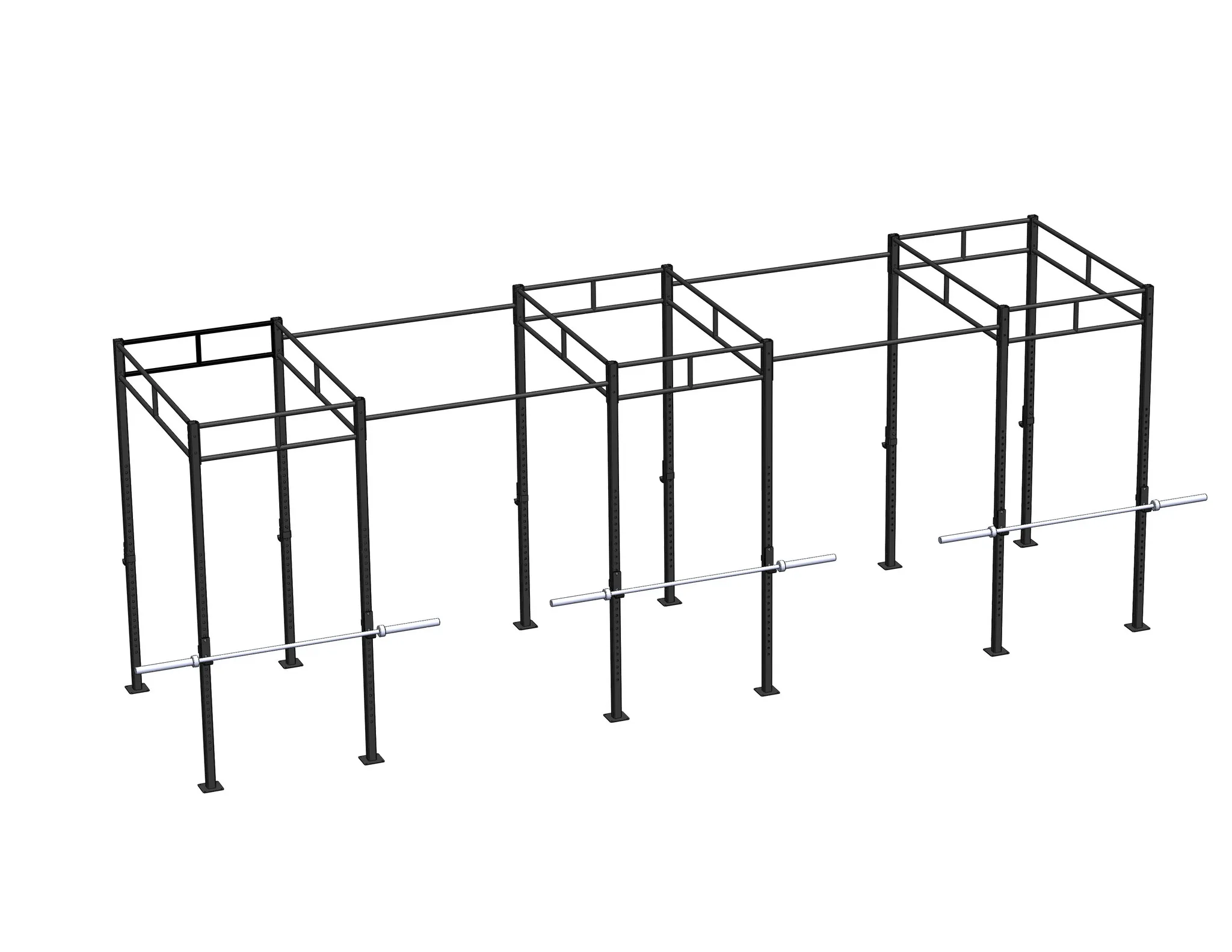 PT Essentials Heavy Duty Crossfit Rig V21