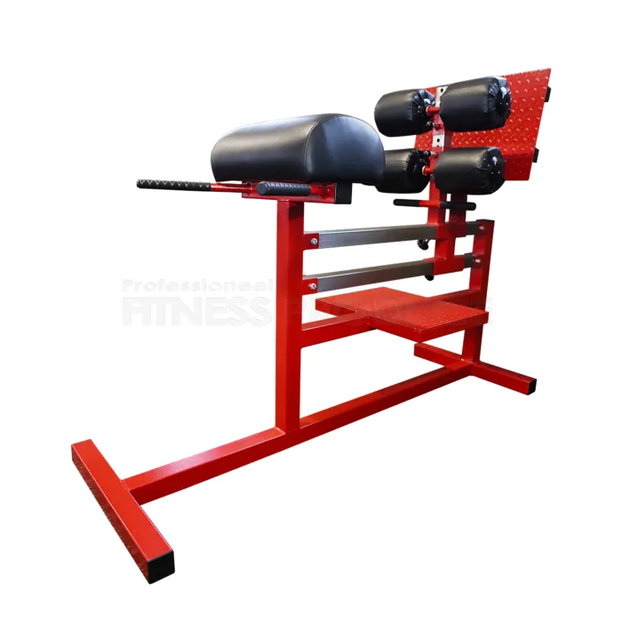 FP Equipment Glute Ham Developer Full Commercial - Custom Made