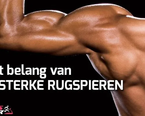 Het belang van rugspieren