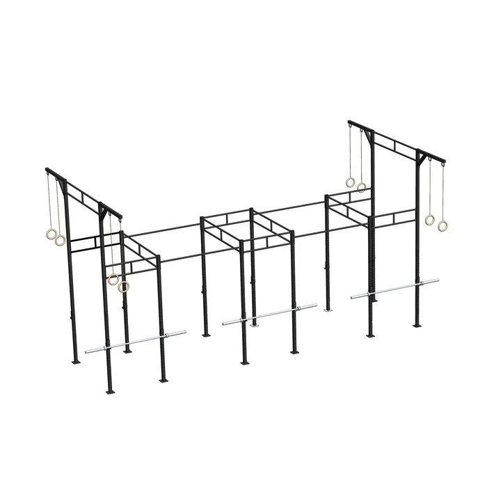 PT Essentials Heavy Duty Crossfit Rig V22
