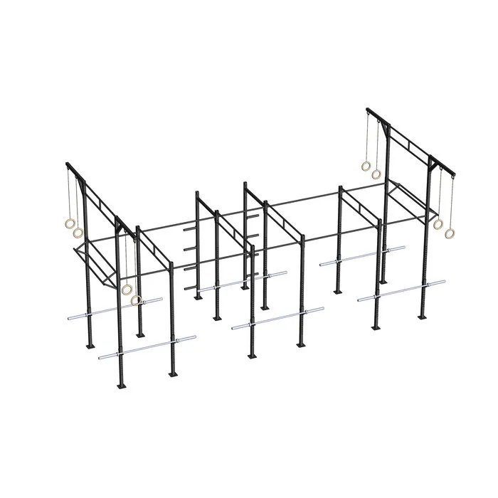 PTessentials Heavy Duty Crossfit Rig V23