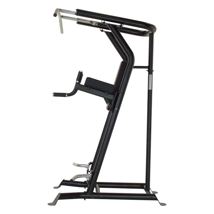 Inspire Fitness Vertical Knee Raise Power Tower