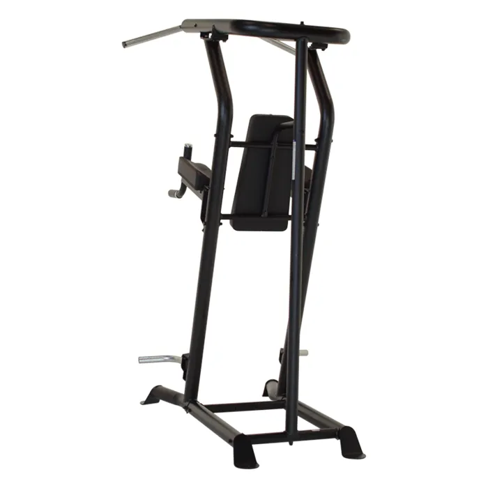 Inspire Fitness Vertical Knee Raise Power Tower