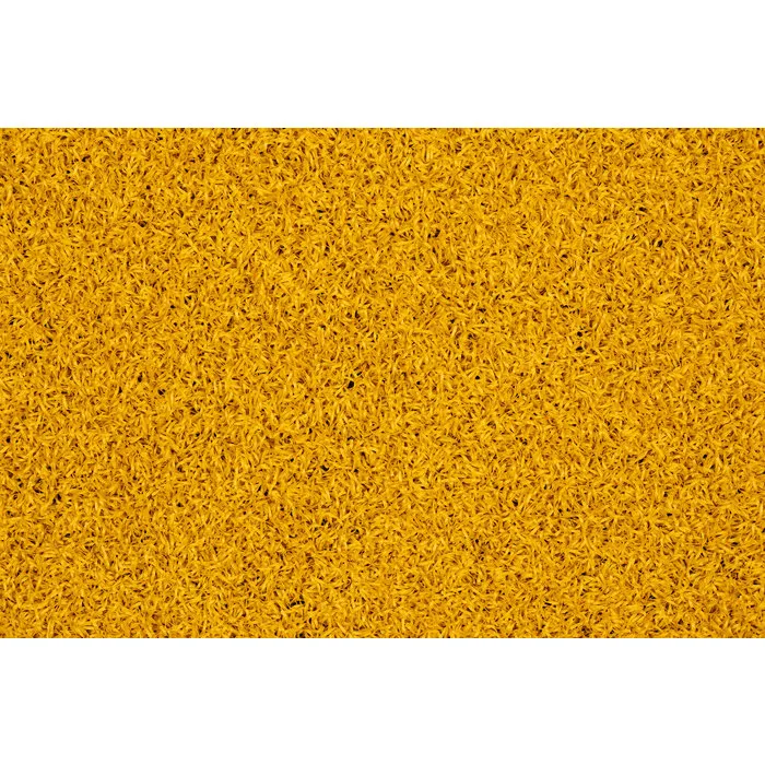 Sprinttracks Budget Sprinttrack Basic 10 x 2 meter - Div. kleuren