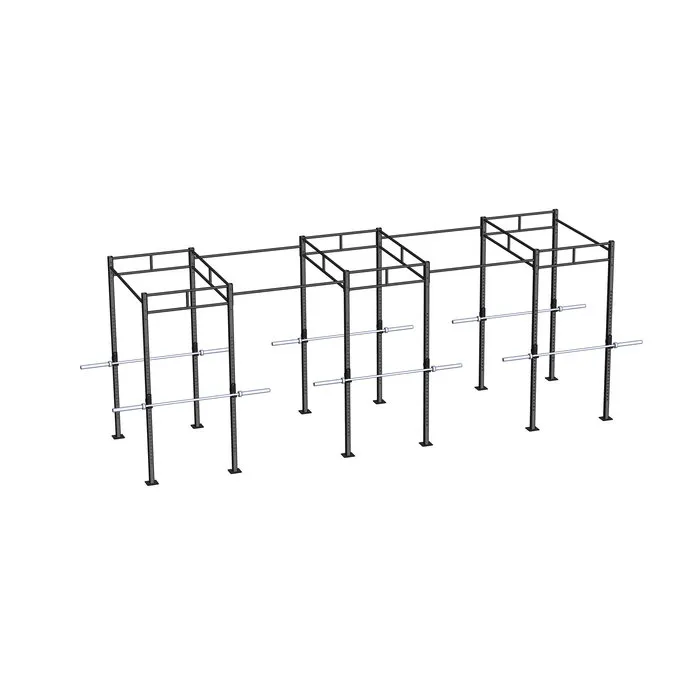 PT Essentials Heavy Duty Crossfit Rig V25