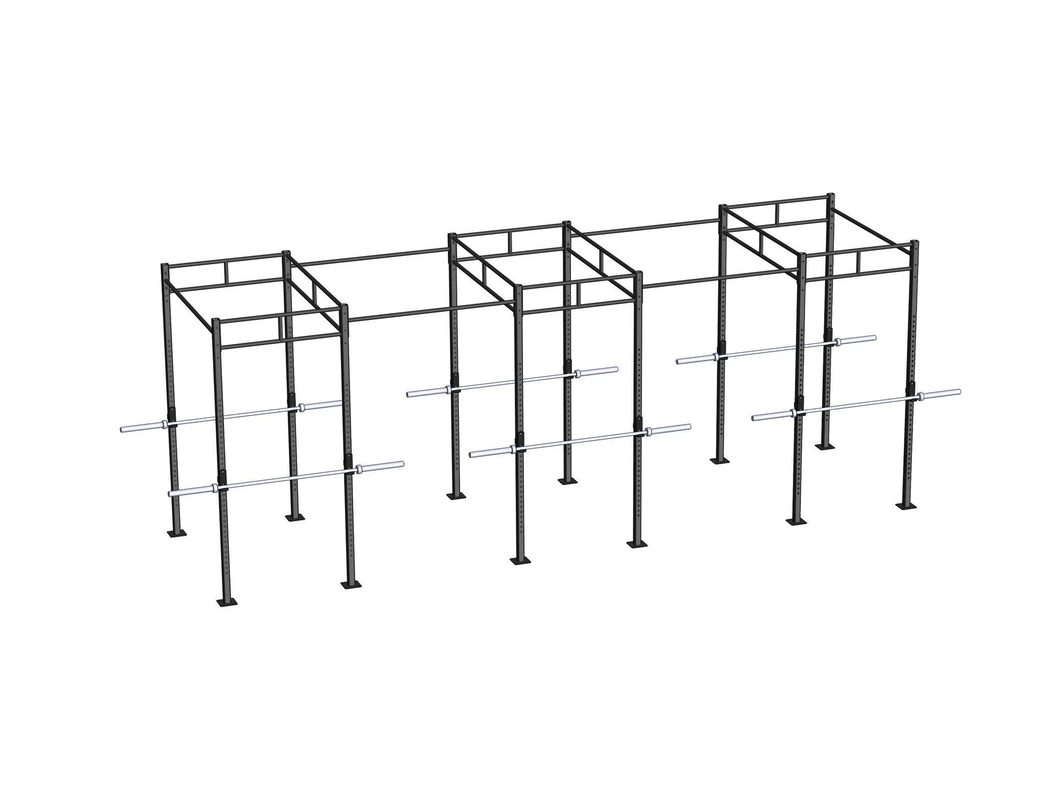 PT Essentials Heavy Duty Crossfit Rig V25