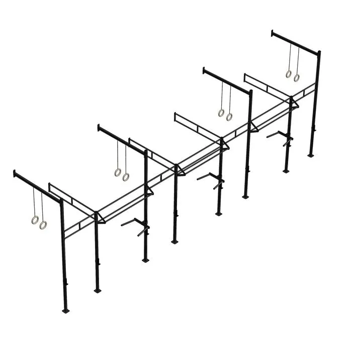 PT Essentials Wall Mount Crossfit Rig V23