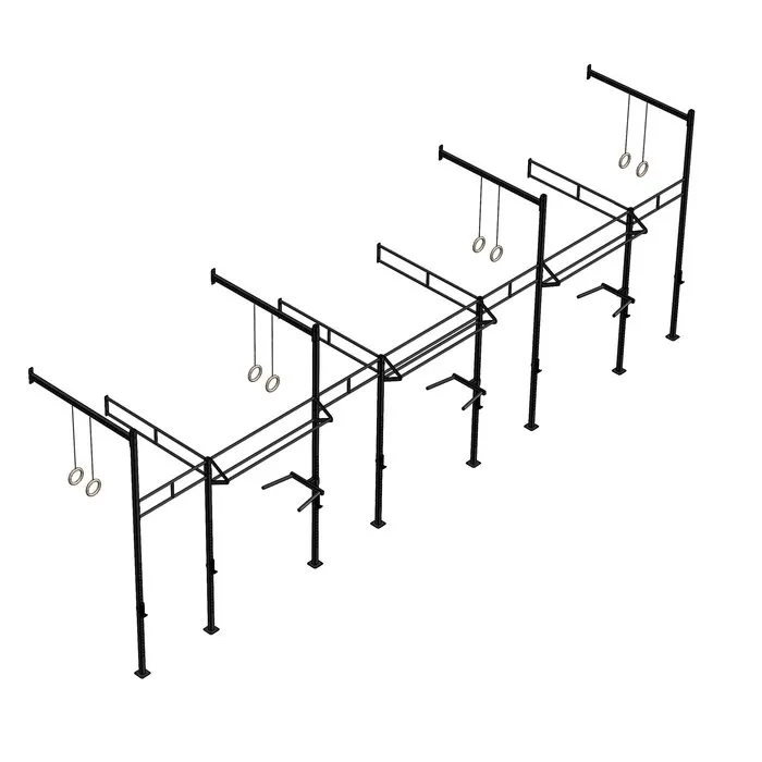 PTessentials Wall Mount Crossfit Rig V23