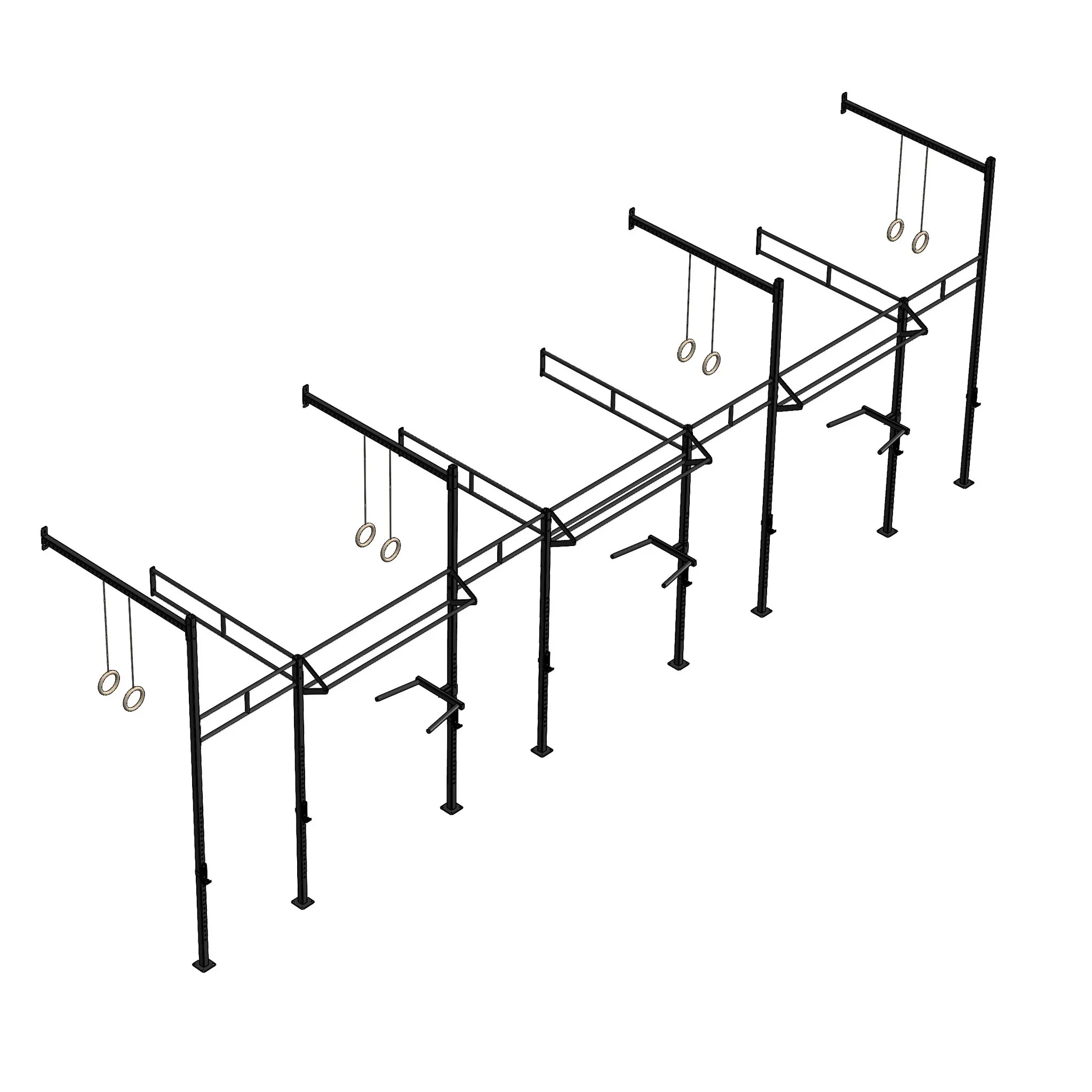 PT Essentials Wall Mount Crossfit Rig V23