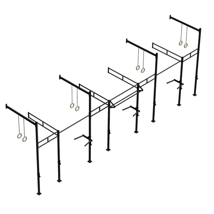 PT Essentials Wall Mount Crossfit Rig V26