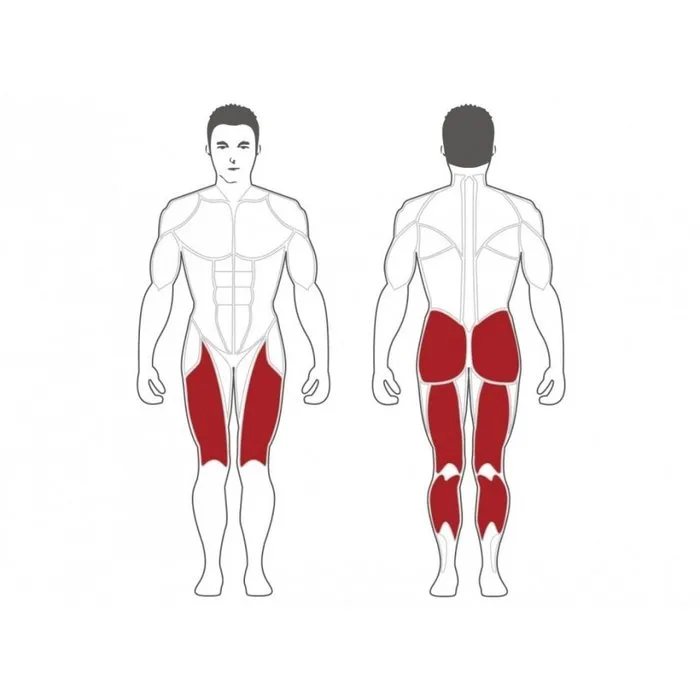 Steelflex Plate Load Hack Squat Machine - Gratis Montage