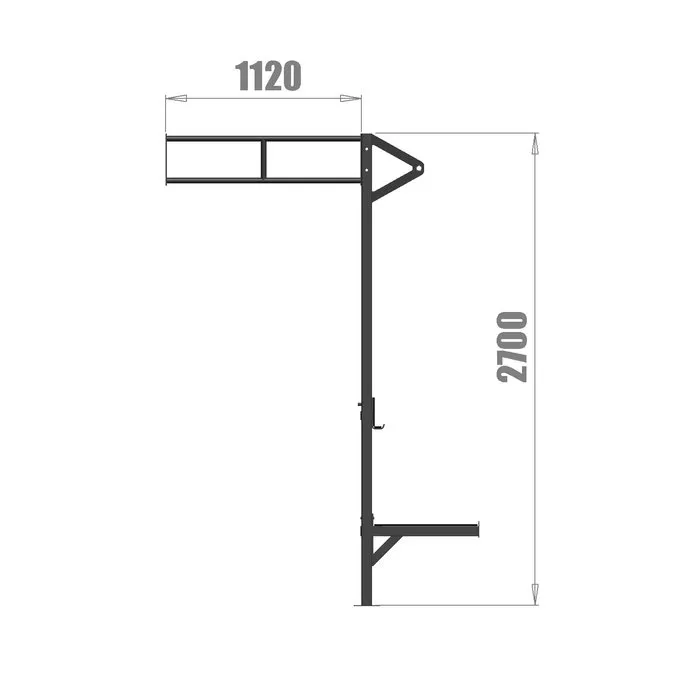 PT Essentials Wall Mount Crossfit Rig V1