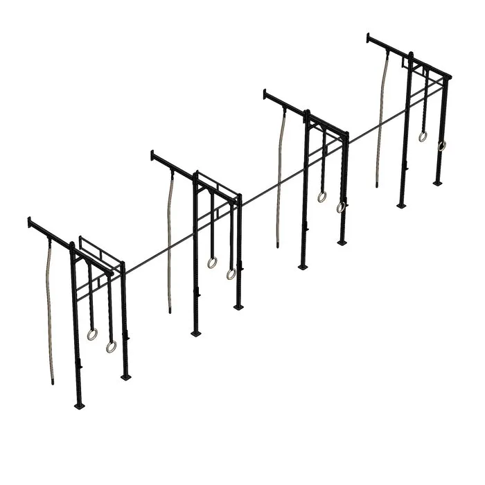 PT Essentials Wall Mount Crossfit Rig V28