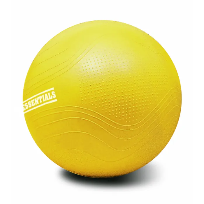PT Essentials SALE - Gymball PRO V2 - Swiss Ball - 55, 65 of 75 cm