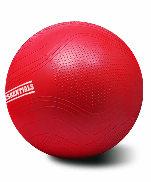 PRO V2 Gymball - 65 cm - Rood