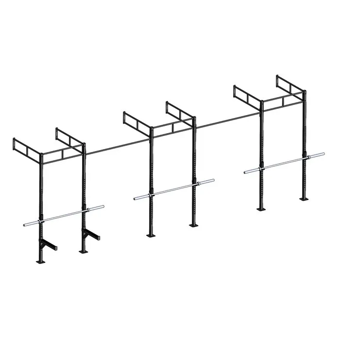 PT Essentials Wall Mount Crossfit Rig V19-2