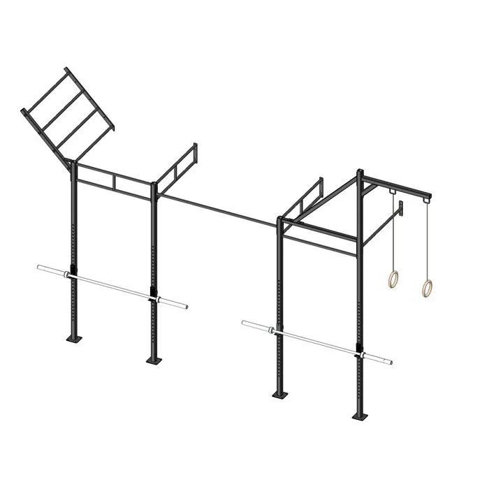 PT Essentials Wall Mount Crossfit Rig V13-4