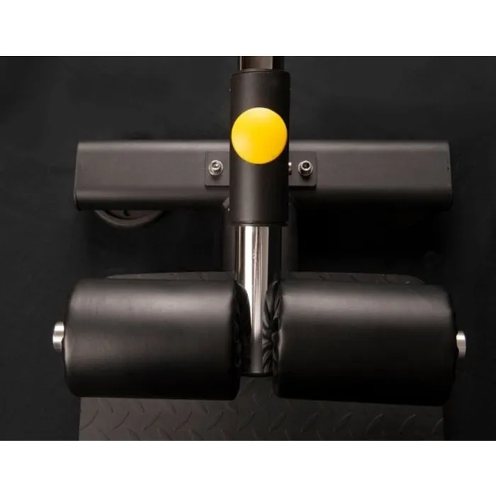 Toorx WBX-1800 - Sissy Squat Bench - Professional