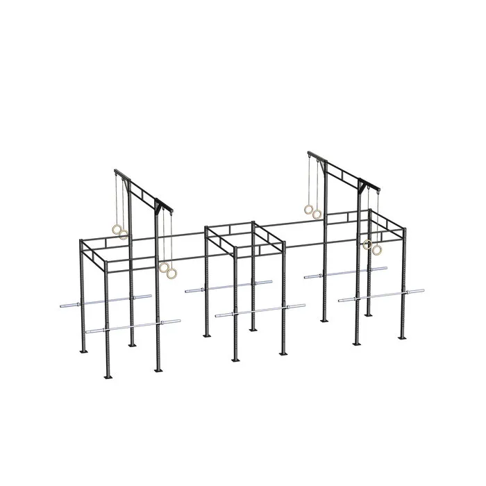 PTessentials Heavy Duty Crossfit Rig V20 - 350 CM