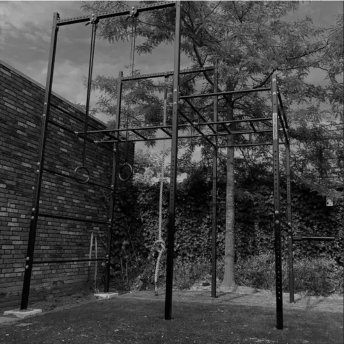 PT Essentials Crossfit Outdoor RIG V2