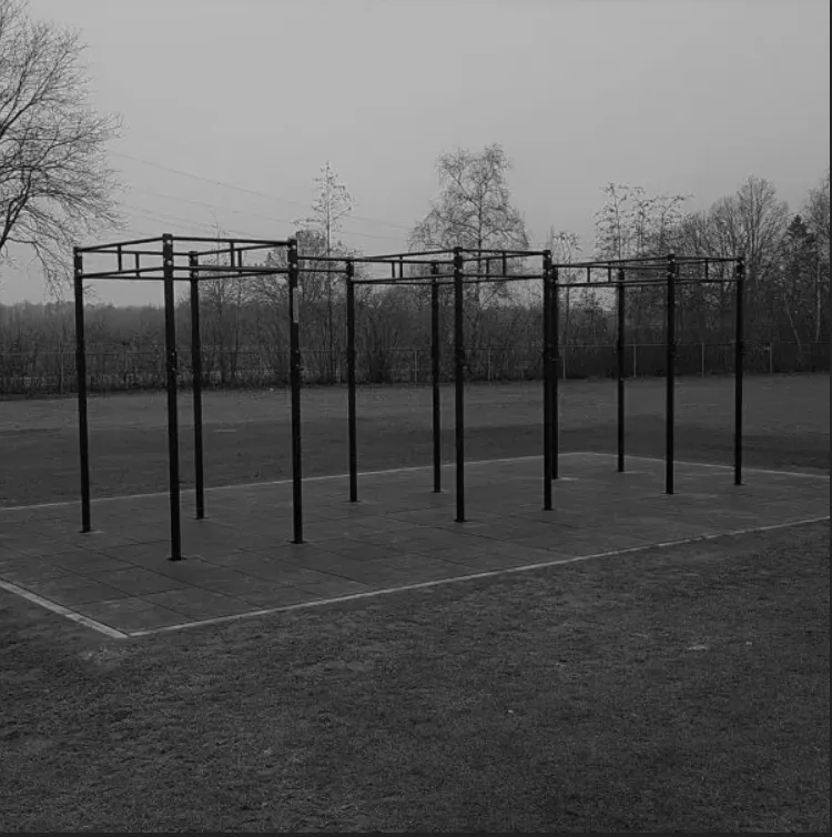 PT Essentials Crossfit Outdoor RIG V4