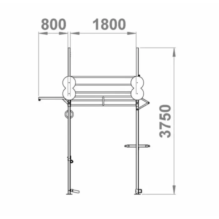 PT Essentials Crossfit Outdoor RIG V6