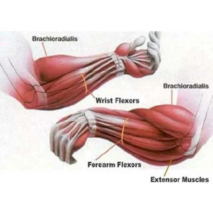 PT Essentials SALE - WR100 Pro Wrist Roller onderarmtrainer