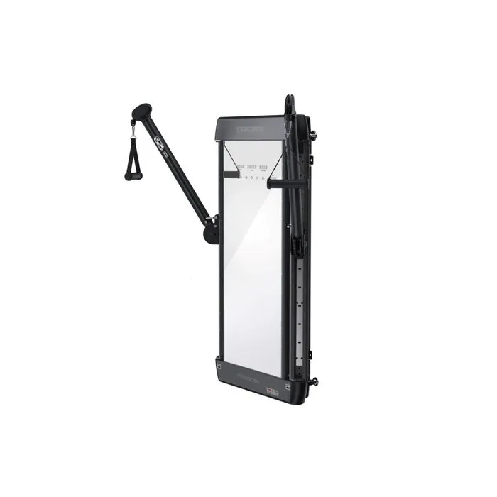 Toorx PRX-5000 Dubbele Pulley Wandmodel - Gratis Montage