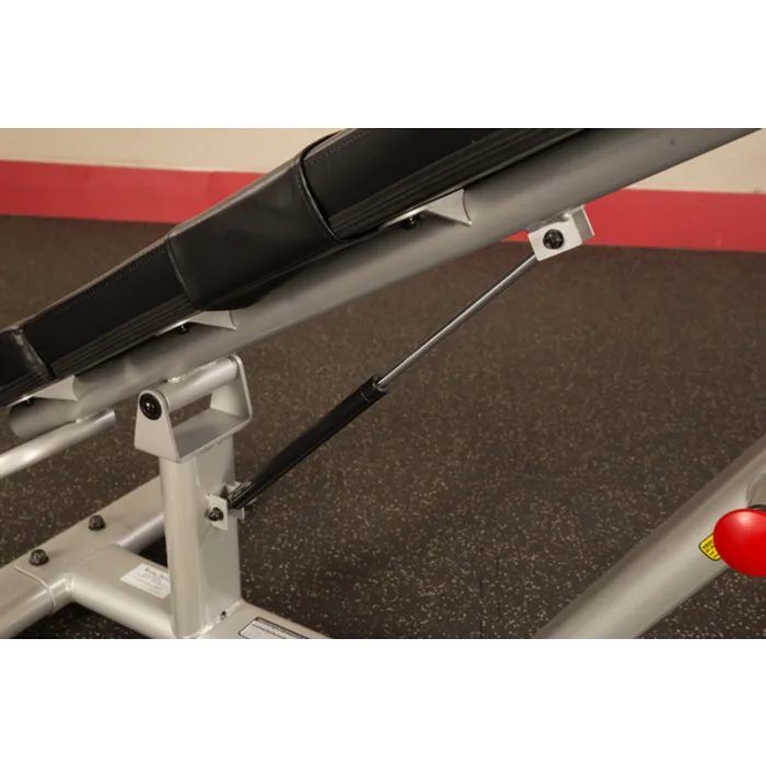 ProClubline SAB500 Professionele Ab Bench