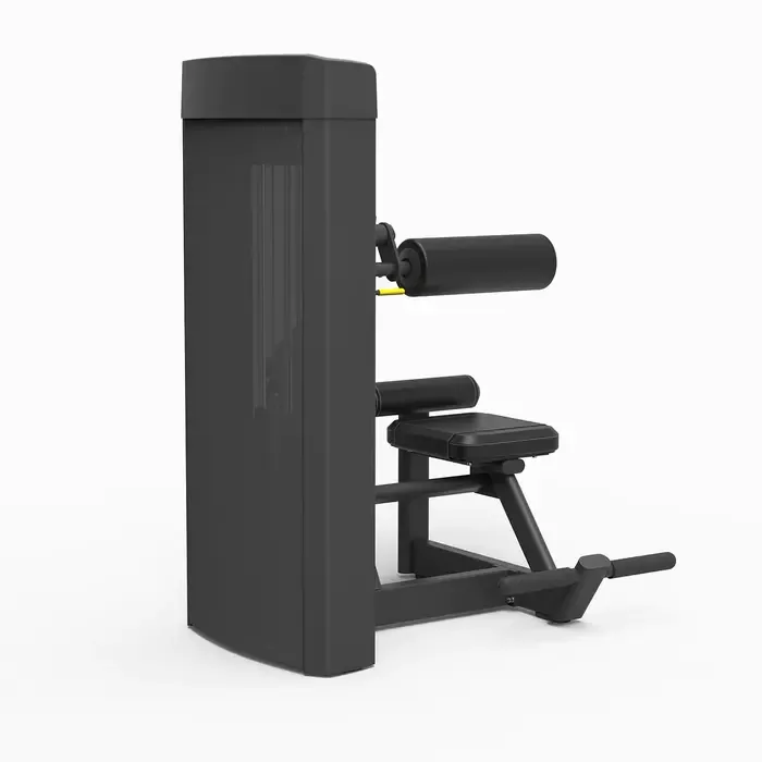 Spirit Strength Selectorized Abdominal Machine - gratis montage