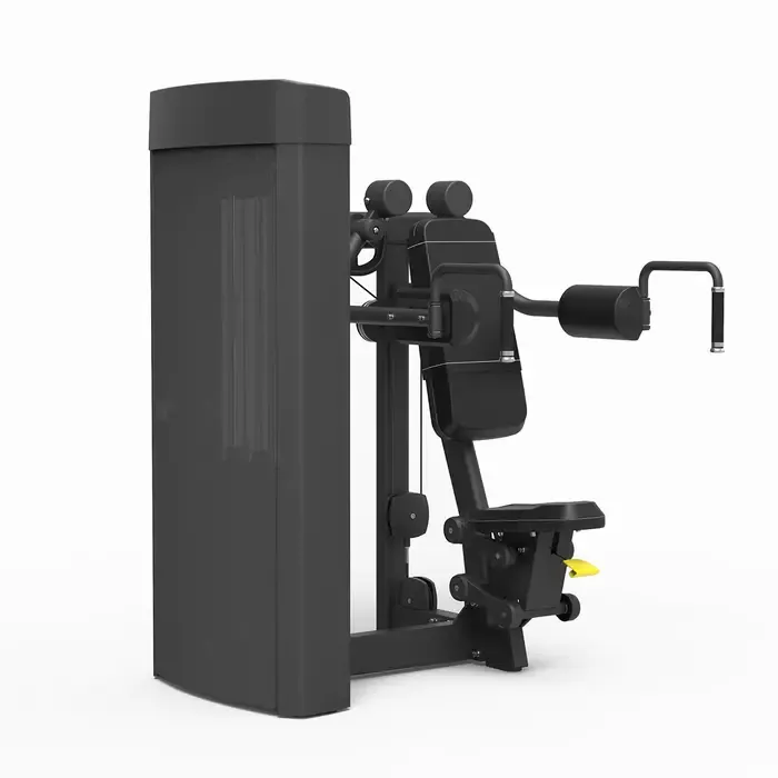 Spirit Strength Selectorized Lateral Raise Machine - gratis montage