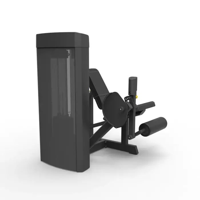 Spirit Strength Selectorized Leg Extension Machine - gratis montage