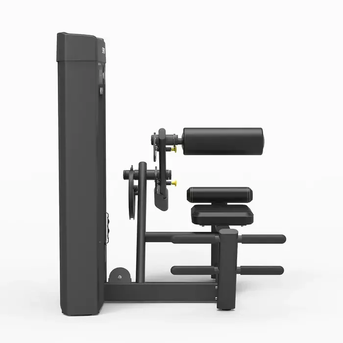 Spirit Strength Selectorized Back Extension Machine - gratis montage