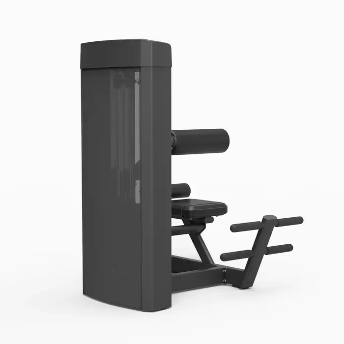 Spirit Strength Selectorized Back Extension Machine - gratis montage