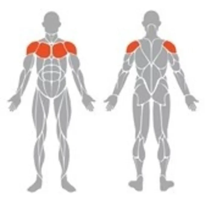 Spirit Strength Selectorized Fly/Rear Delt Machine - gratis montage