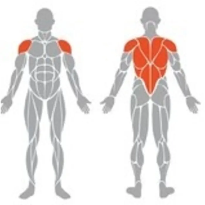 Spirit Strength Selectorized Low Row Machine - gratis montage