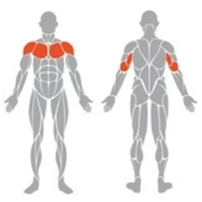 Spirit Strength Selectorized Seated Chest Press Machine - gratis montage