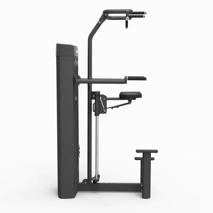 Spirit Strength Selectorized Assisted Dip/Chin Machine - gratis montage